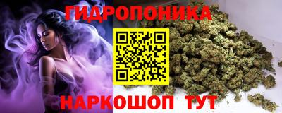шишки Гусь-Хрустальный