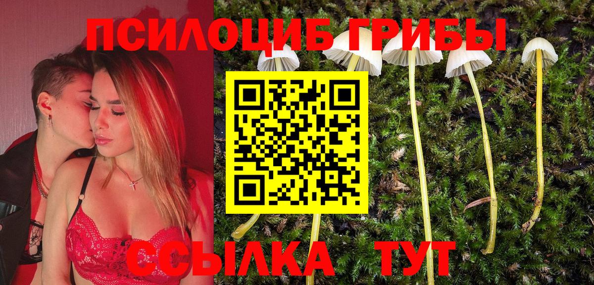 Галлюциногенные грибы Psilocybe  Вход с VPN  Галлюциногенные грибы GOLDEN TEACHER  Менделеевск 