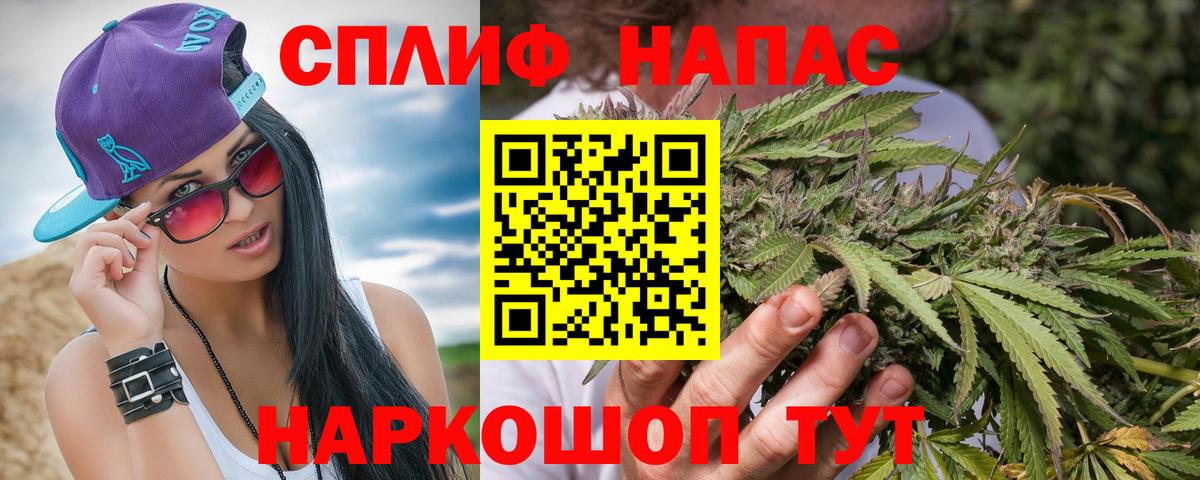 Канабис сатива Менделеевск
